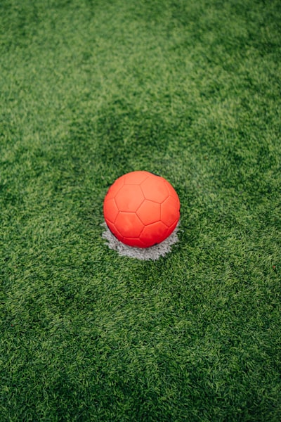 يورو 2024 ويكيبيدياكل ما تريد معرفته عن بطولة أمم أوروبا يورو 2024 ويكيبيدياكل ما تريد معرفته عن بطولة أمم أوروبا